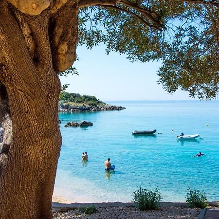 Villa Rooms Mediteran Borovići Dış mekan fotoğraf