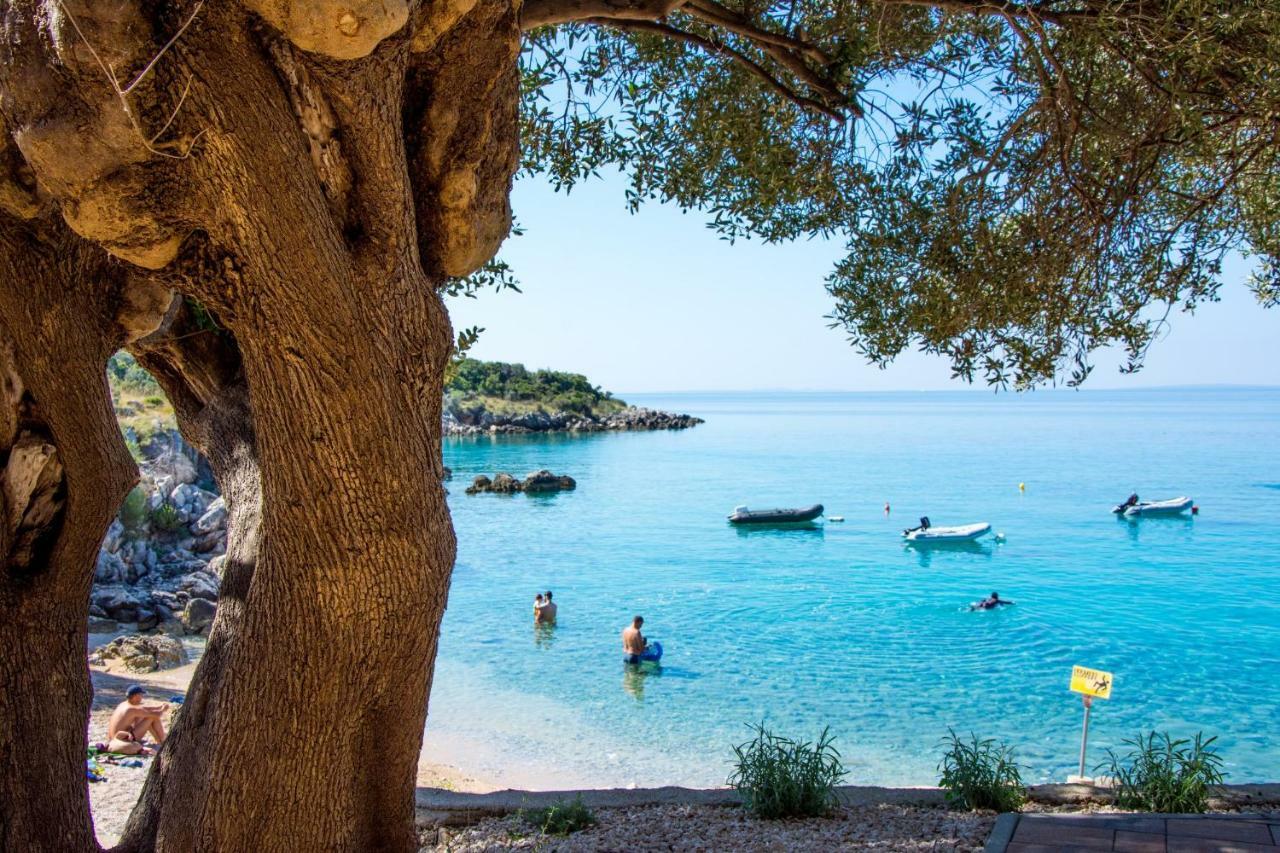 Villa Rooms Mediteran Borovići Dış mekan fotoğraf