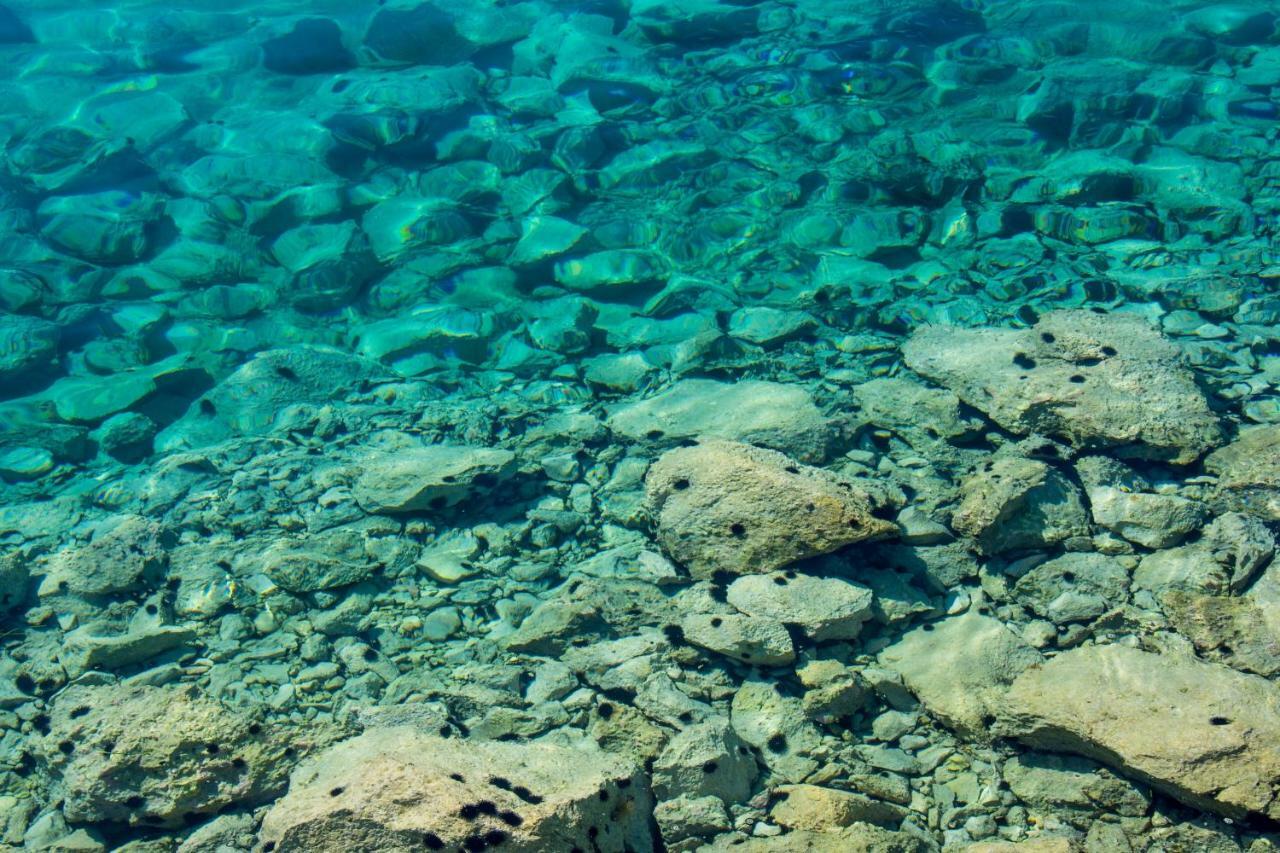 Villa Rooms Mediteran Borovići Dış mekan fotoğraf